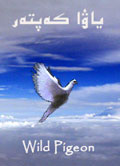 Book Cover for  Wild Pigeon by Nurmuhemmet Yasin 